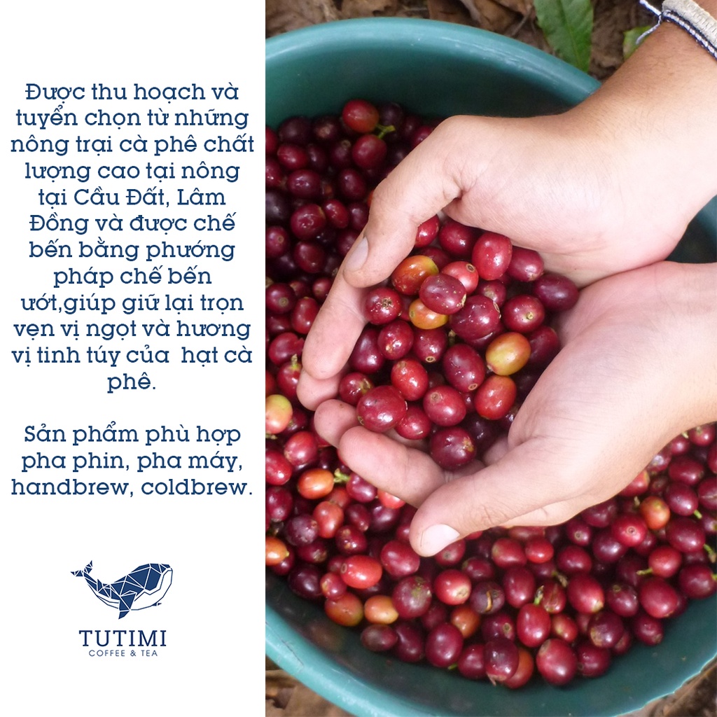 Cà phê nguyên chất Arabica Cầu Đất rang mộc, thơm, chua nhẹ, cà phê pha phin hoặc pha máy ngon TuTiMi