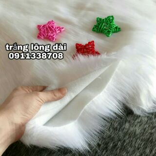 Thảm lông  trắng hồ ly chụp hình