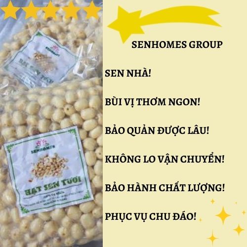 0.5KG Hạt Sen Tươi Tách Vỏ - Bỏ Tim -Bùi Vị Ngọt Thanh SENHOMES GROUP