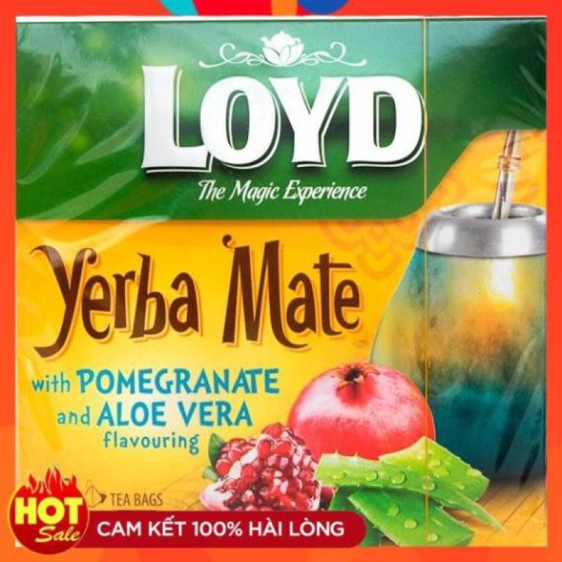 Trà túi lọc trái cây loyd yerba mate năng lượng xuất xứ Ba Lan 40g ( Khuyến mãi dùng thử )