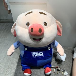 Lợn bông tiktok