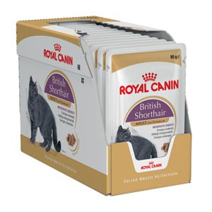 pate súp dành riêng cho mèo anh lông ngắn (British shorthair) royal canin