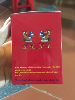 Thiên đan cóc trúc linh