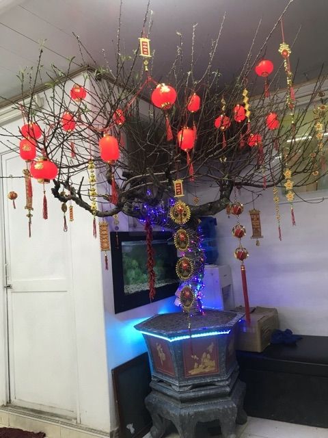 Dây đèn lồng trang trí cao cấp lễ tết, liên hoan, cưới hỏi