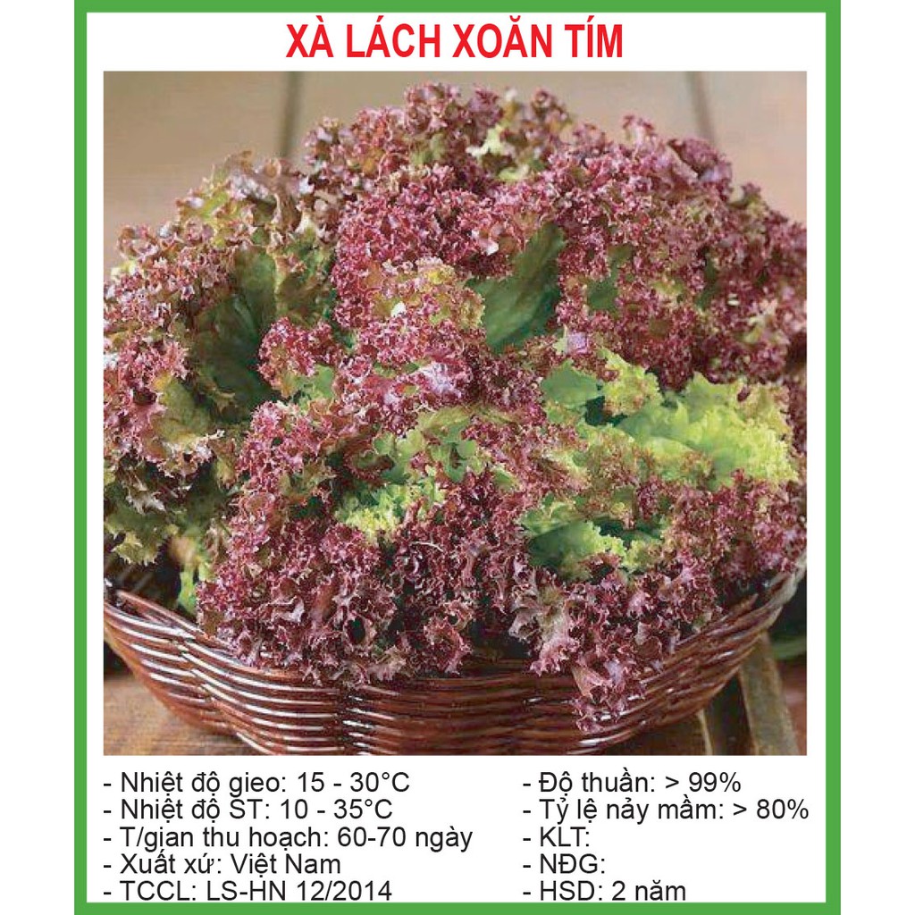 Xà Lách Xoăn Tím 20 Gram/ Gói