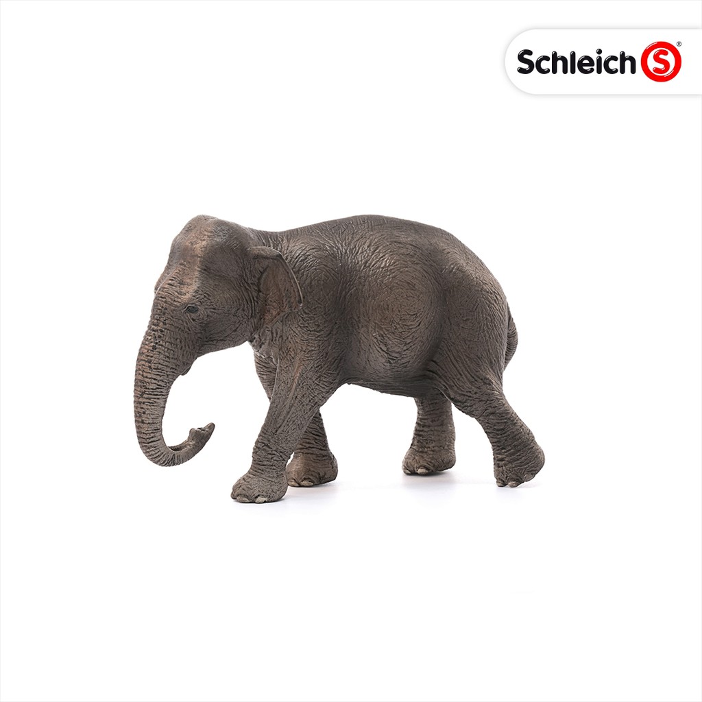 [Mã LIFET154 giảm 100K đơn 499K] Mô hình Voi Châu Á cái SCHLEICH 14753