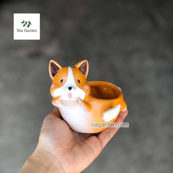 Chậu chó Corgi thiên thần trồng xương rồng, cây để bàn Nia Garden N4