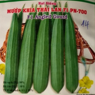 Mướp khía thái lan f1 pn-700