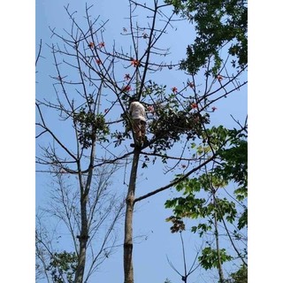 TẦM GỬI GẠO TÍA HÀNG CHUẨN👍👍