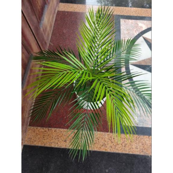 Cây dừa trang trí 9 nhánh cao 52cm
