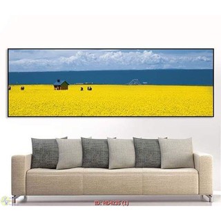 Tranh in canvas Cánh đồng hoa cải vàng 40x120 kèm khung