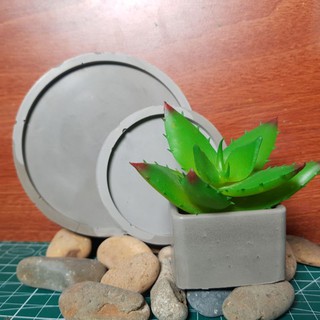 Chậu cây xi măng trồng sen đá nhỏ 5cm