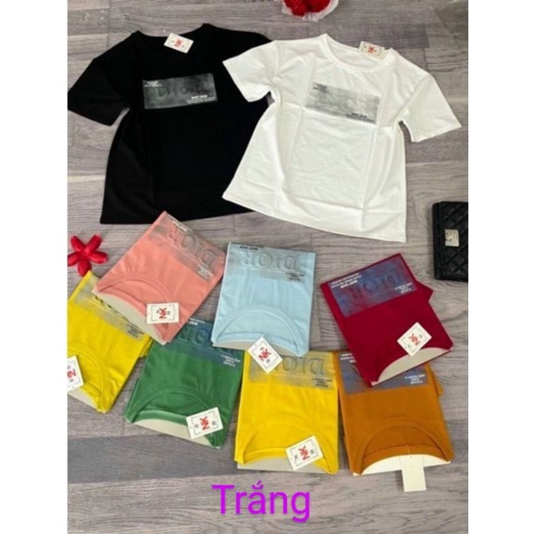 Áo thun nữ cổ tròn chất vải cotton 100% thoải mái thoáng mát (size 47-65kg)