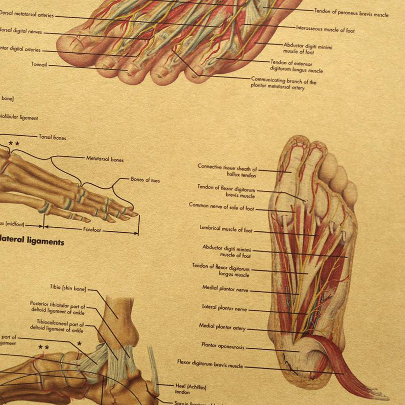 Áp Phích Trang Trí Nội Thất Hình Lục Giác