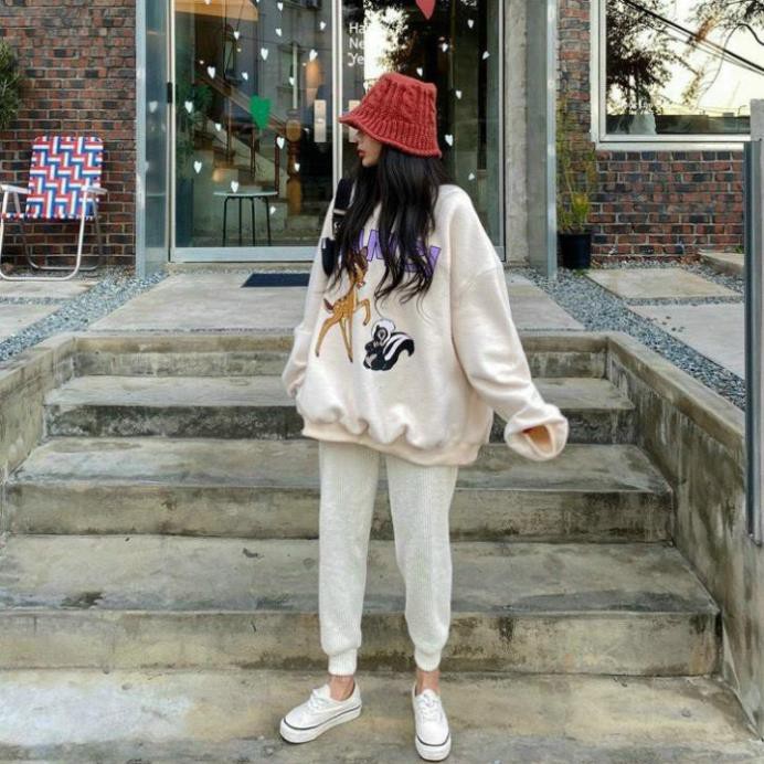 Áo Thun Nữ- Áo Sweater Ngựa Siêu Kute