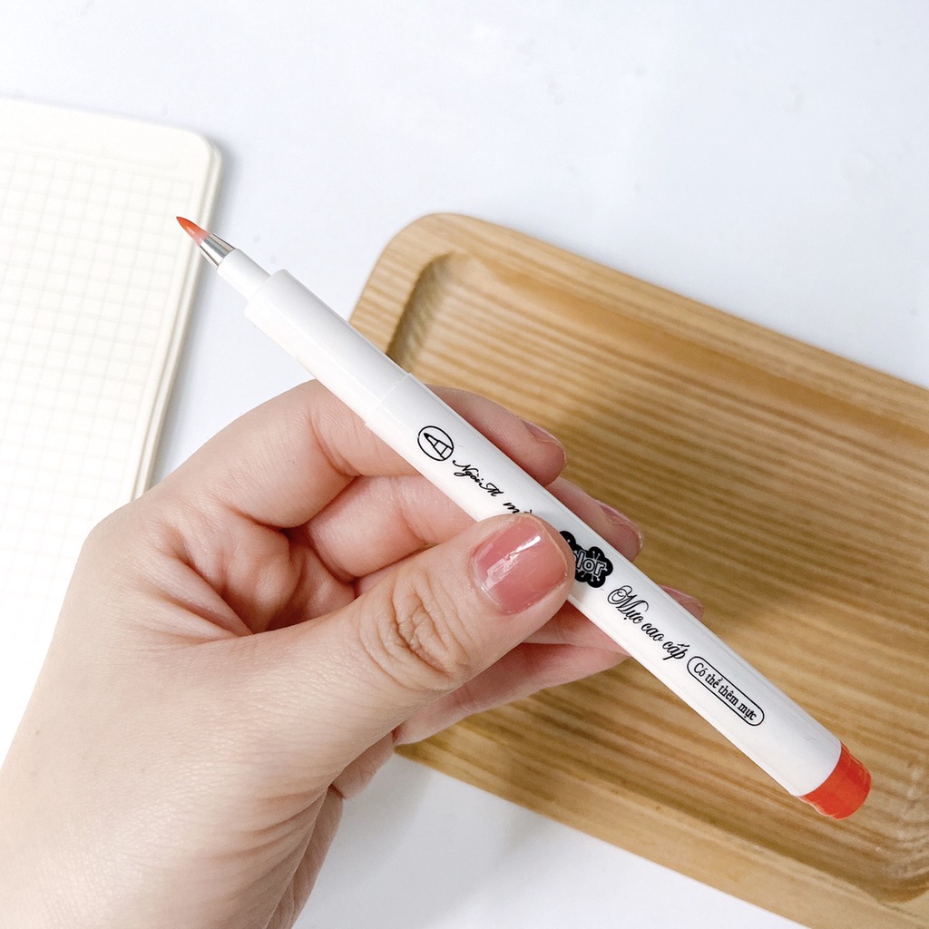 BỘ 6 BÚT BRUSH VIẾT CALLIGRAPHY ÁNH DƯƠNG BẢN DUPE PENTEL SIGN PEN - BÚT MÀI THẦY ÁNH