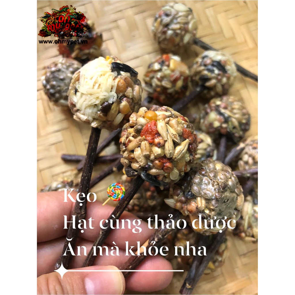 Thức ăn vặt đa dạng cho Thỏ,Bọ, Sóc, Rat,Hamster...