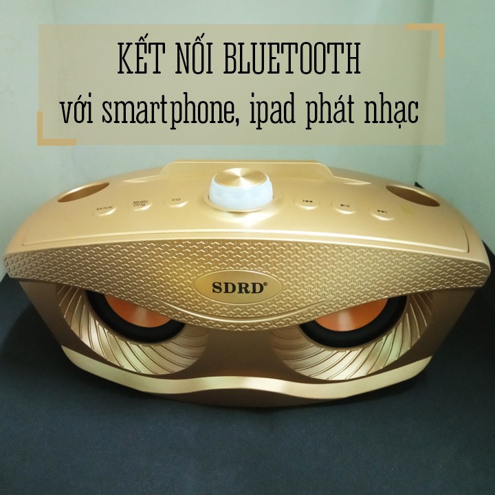 Loa Karaoke Bluetooth SD-306 Tặng Kèm 2 Micro Không Dây , Bass Đập Siêu Hay