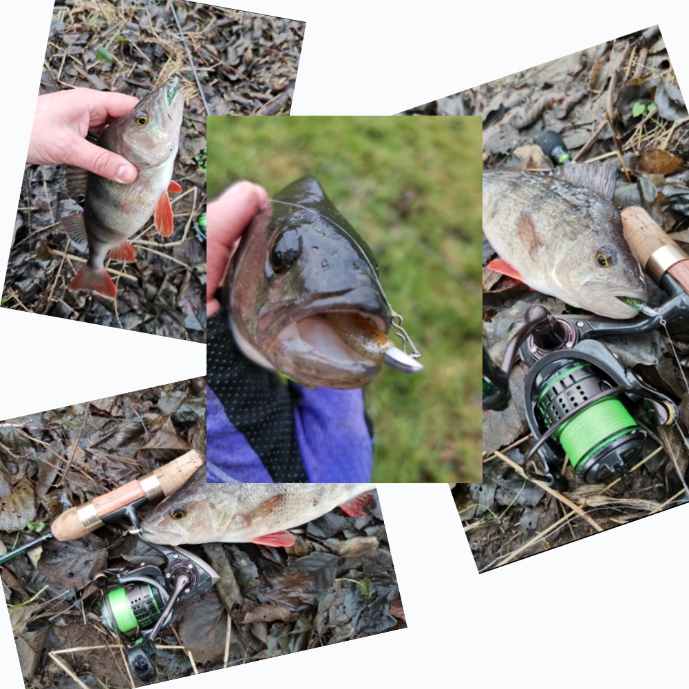 Set 10 Lưỡi Câu Cá Mềm 0.5g / 0.8g / 1g / 1.2g / 1.5g