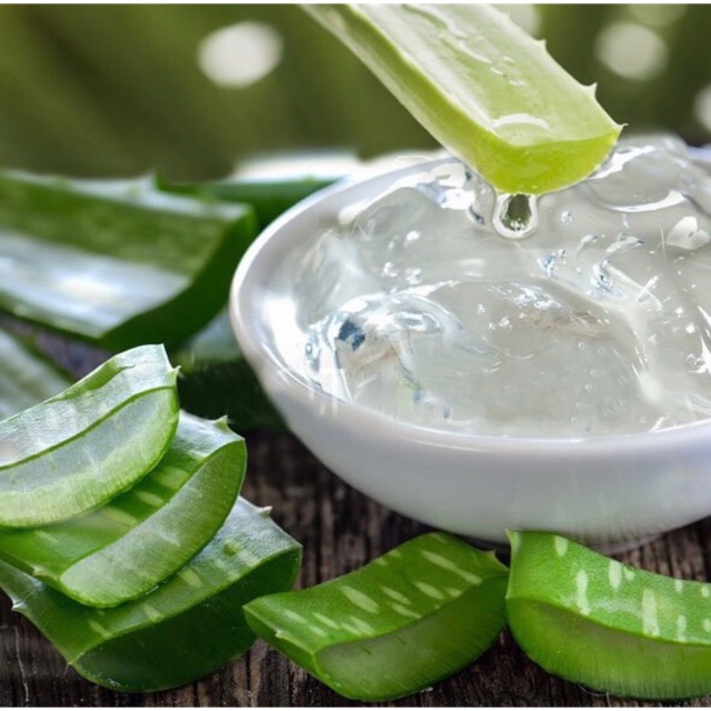 [ Sỉ nguyên liệu mỹ phẩm ] Gel nha đam 1kg - Aloe vera