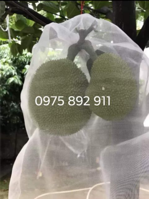 Túi bọc mít lưới thái lan 50x60 - combo 10 túi