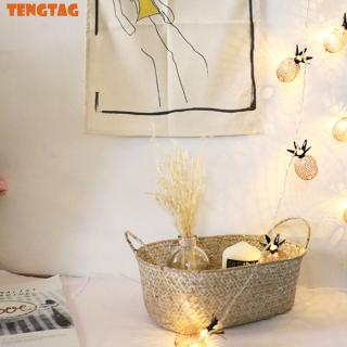 Dây Đèn Led Trang Trí Hình Quả Dứa