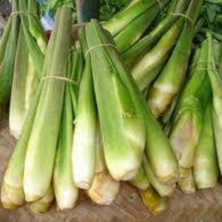 Củ sả tươi nguyên cây 1kg Tây Nguyên