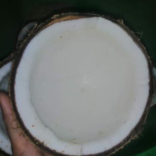 DẦU DỪA (500ml)