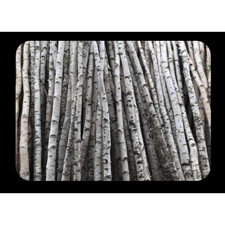 Bảng Ép Lưỡi Hình Xăm Bằng Tre Sử Dụng 1 Lần