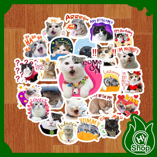 [Bộ 24 Sticker] Hình Dán Sticker Vương Quốc Mèo Tiểu Hổ | Dán Nón Bảo Hiểm, Điện Thoại, Laptop, Bình Nước