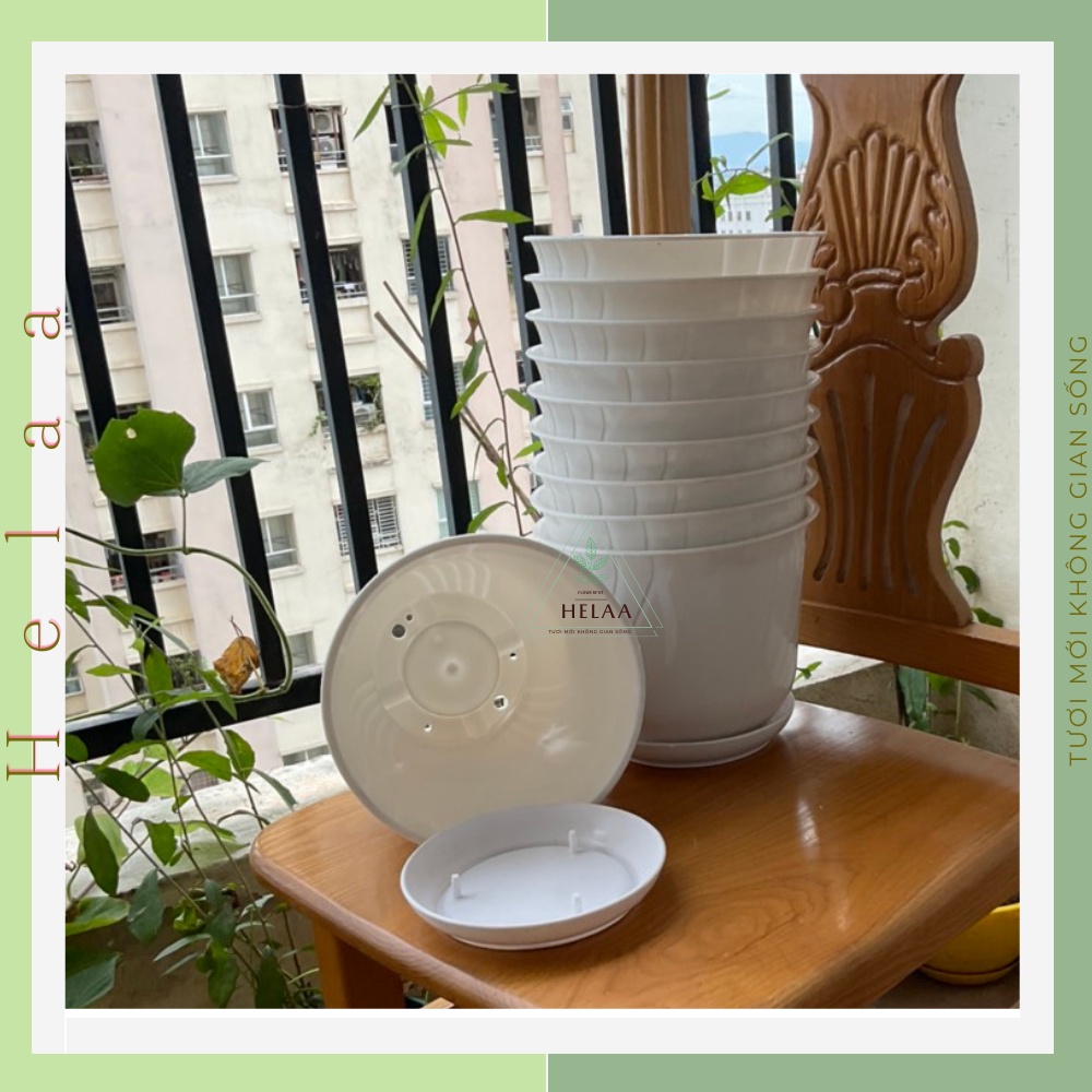 Bộ 10 Chậu Nhựa Có Dĩa 4 Khía Tròn, Chậu Trồng Hoa Liền Đĩa, Cây Cảnh, Ban Công, Bàn Làm Việc Văn Phòng