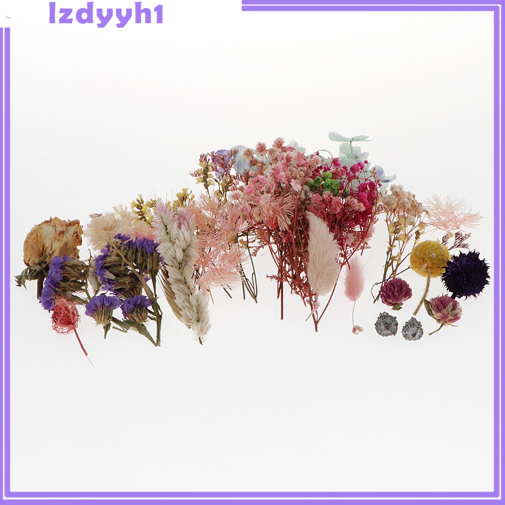 1 Hộp Hoa Khô Tự Nhiên Dùng Làm Thẻ Trang Trí Sổ Tay JoyDIY