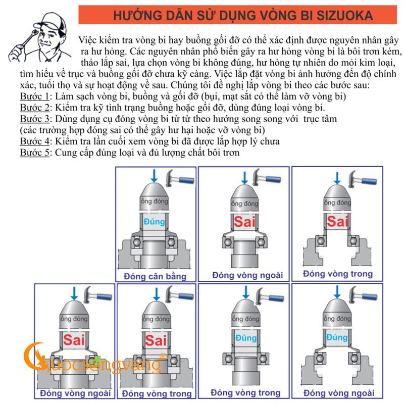 Bạc đạn xe máy 6301 2RS Đùm sau Dream, Wave, Sirius, Exciter, Future Neo, Future Neo Fi, Wave RS, RSX, láp Airblade