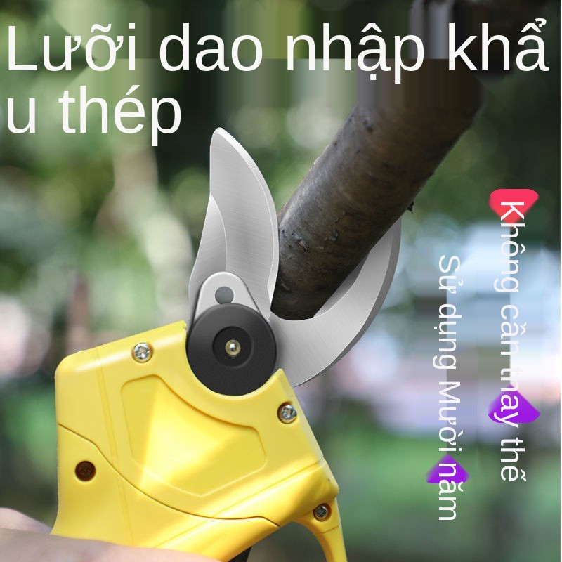 Kéo cắt tỉa cành bằng thép hoàn toàn nhập khẩu, cây ăn quả, dày có thể sạc lại được, làm vườn và điện