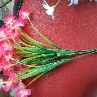 Cụm hoa thuỷ tiên