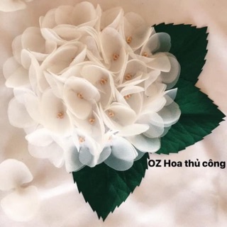 Hoa cẩm tú cầu theo yêu cầu
