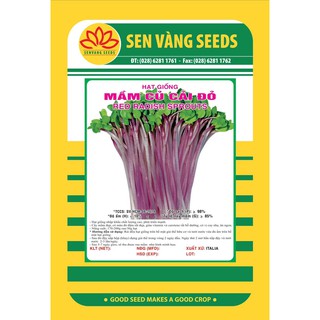 Hạt giống Rau mầm Củ Cải Đỏ Gói 1Kg Giàu dinh dưỡng dễ trồng nhanh thu hoạch