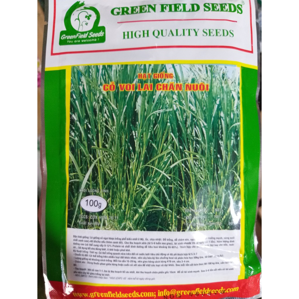 Cỏ Voi Lai Chăn Nuôi (100g), Hạt Giống Cỏ Voi