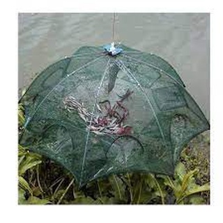 Lưới Đánh Bắt Cá Bát Quái 8 Cửa Công Nghệ Mới