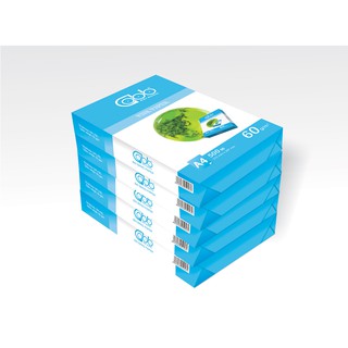 Giấy in Bái Bằng Xanh cốm 60A4