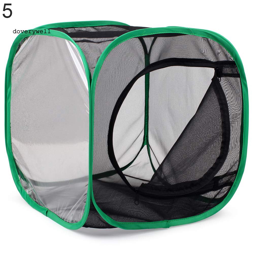 Lồng Lưới Nuôi Bướm / Côn Trùng Có Thể Gập Lại Được