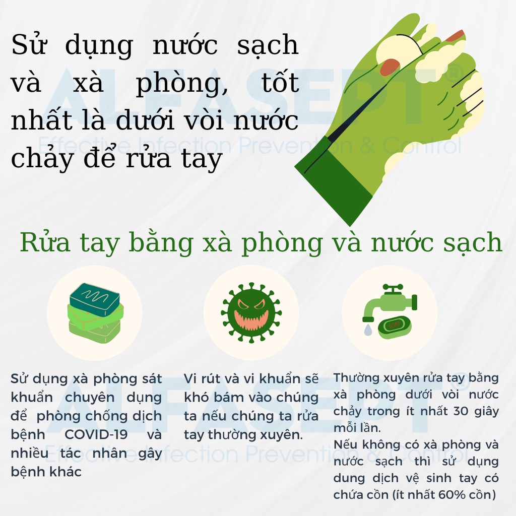 Xà Phòng Rửa Tay ALFASEPT Handwash Chiết Xuất Lá Trà Xanh Thân Thiện Với Da, Giúp Sát Khuẩn Nhanh Chóng, Hiệu Quả Lọ 1L