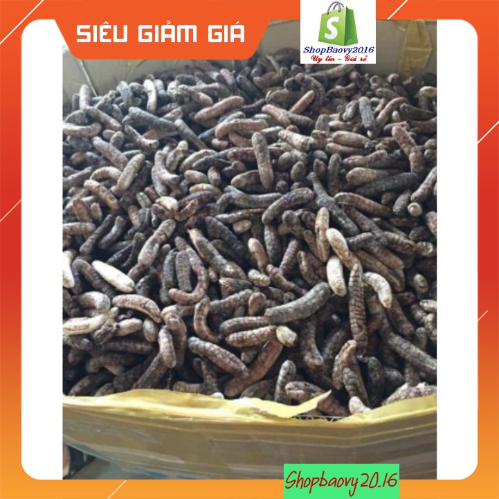 1kg Quả chuối hột rừng Tây nguyên 🍀FREESHIP🍀Nguyên Quả Phơi Khô Tự Nhiên Chuẩn 100% | BigBuy360 - bigbuy360.vn