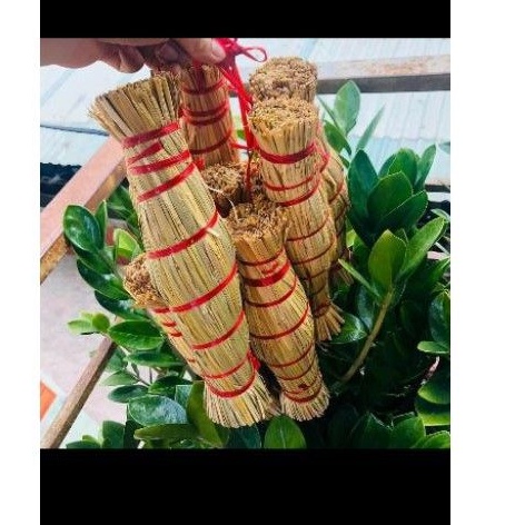 Tré rơm Bình Định | BigBuy360 - bigbuy360.vn