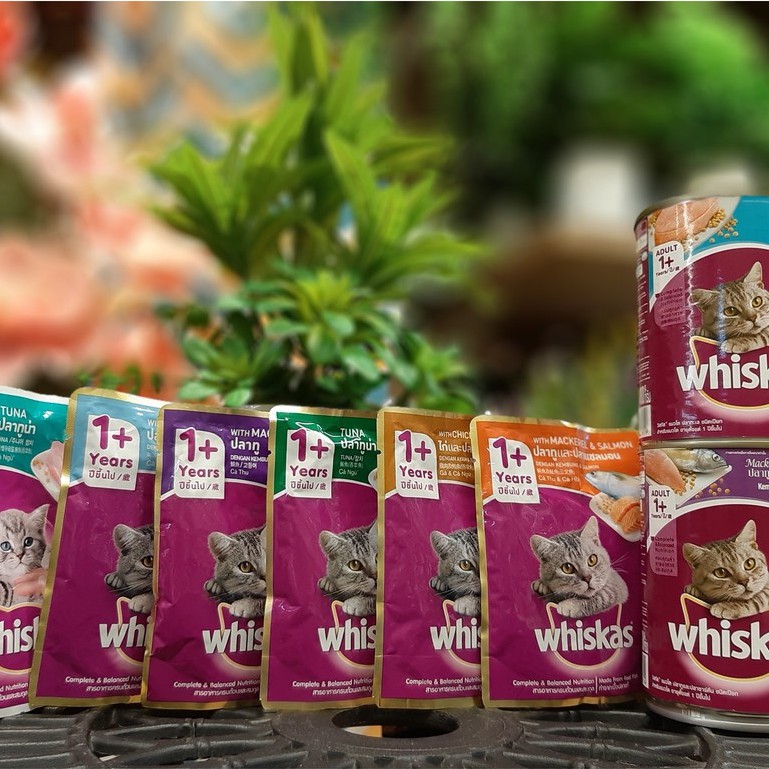 Pate Whiskas Adult Mèo Trưởng Thành 80g