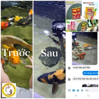 CÁM KOIKING DÀNH CHO CÁ KOI/ CÁM CÁ KOI