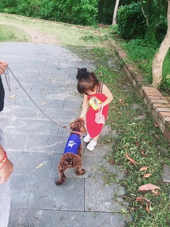 combo my huyen