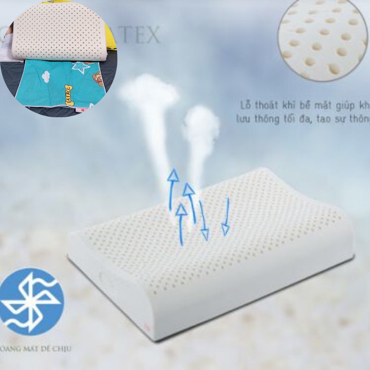 Gối nằm dợn sóng 100% cao su thiên nhiên Vạn Thành ( nhiều kích thước )