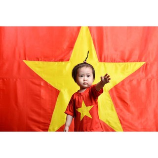 Cờ Tổ Quốc - Cờ đỏ sao vàng
