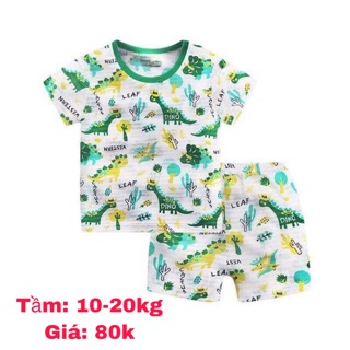 Bộ cotton tre cho bé